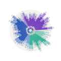 Full artwork of the Spanish language learning poster, white edition: 50 verbs conjugated around a colour wheel